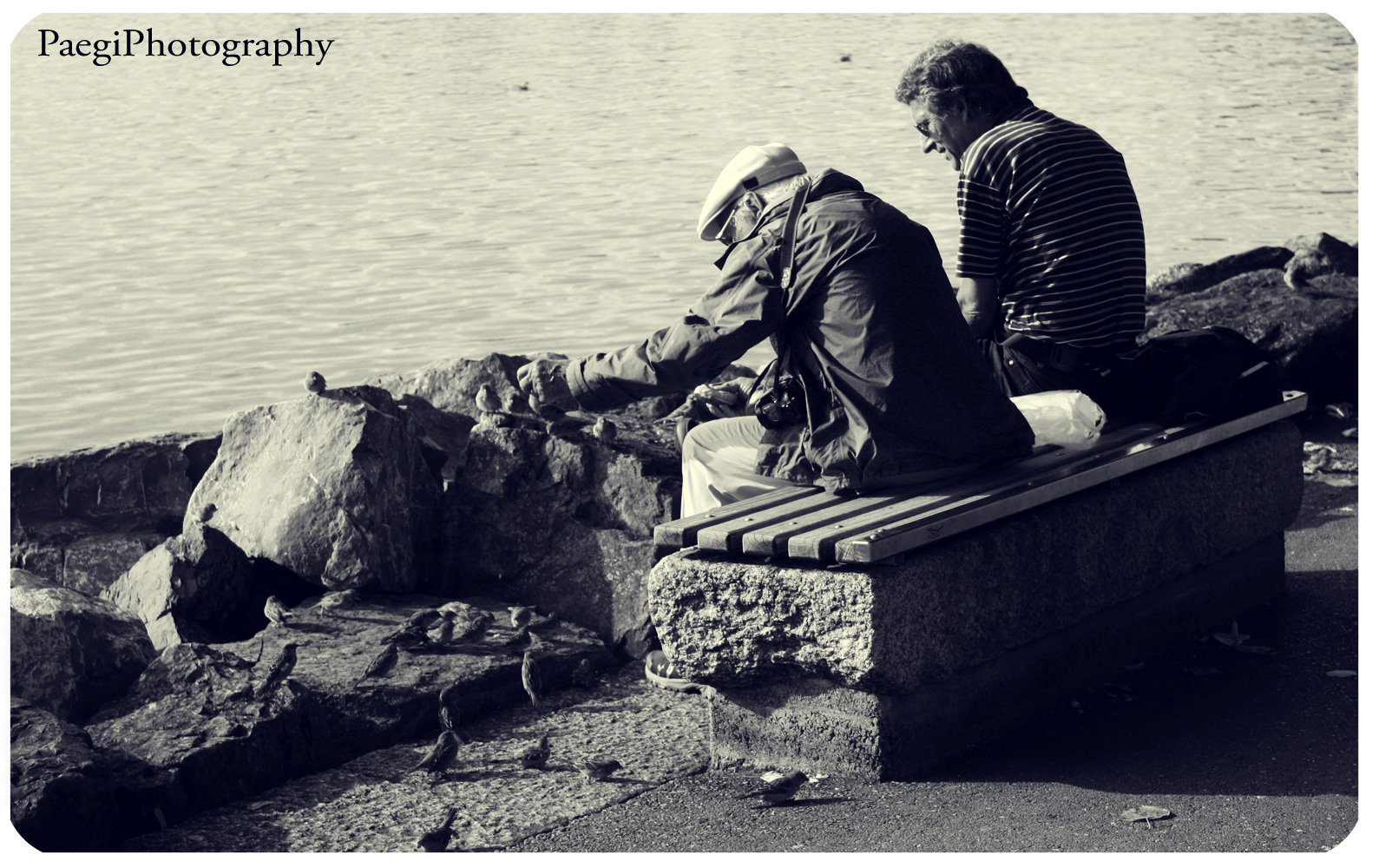 best friends grow old together Foto & Bild erwachsene menschen