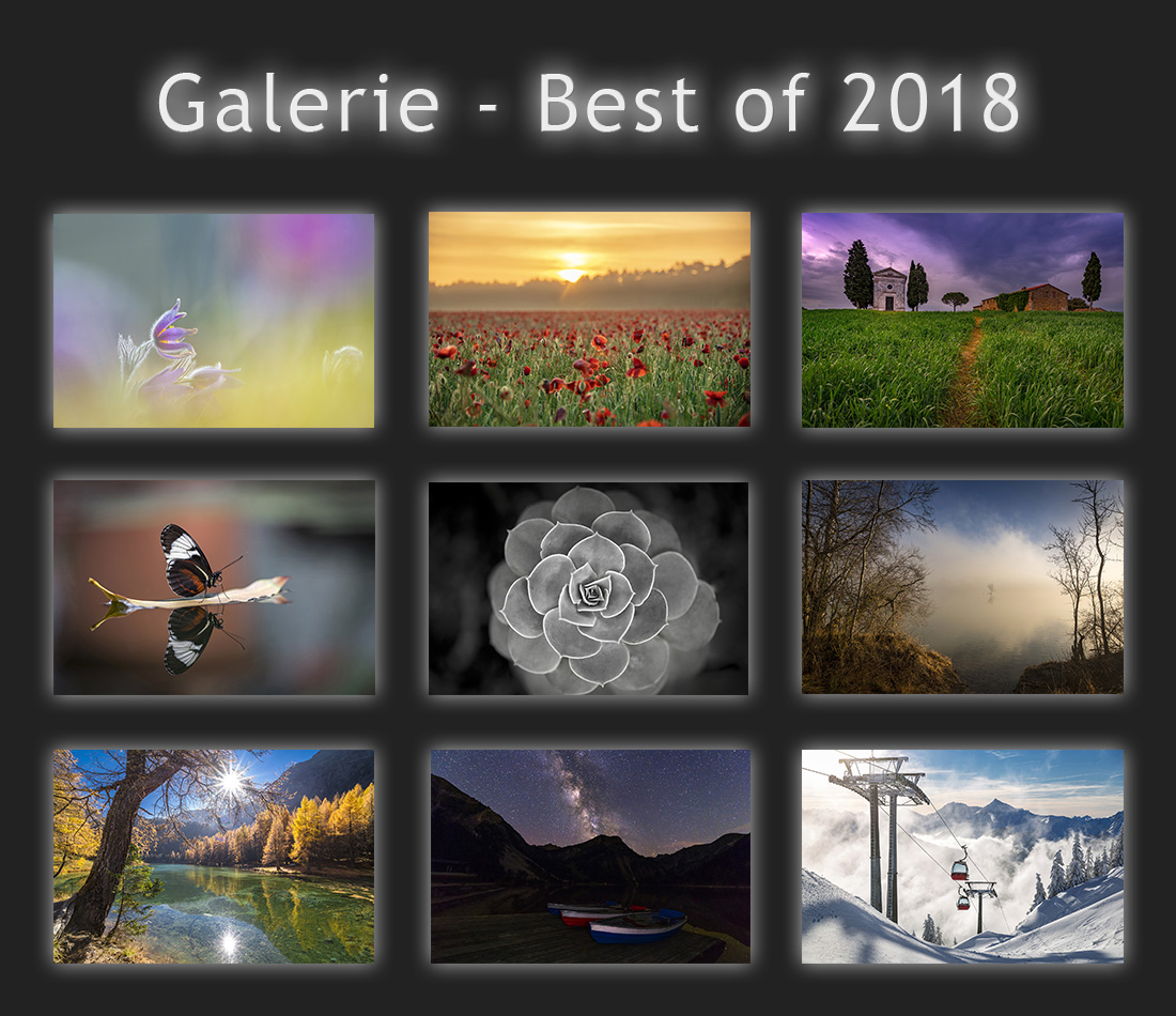 Best of 2018