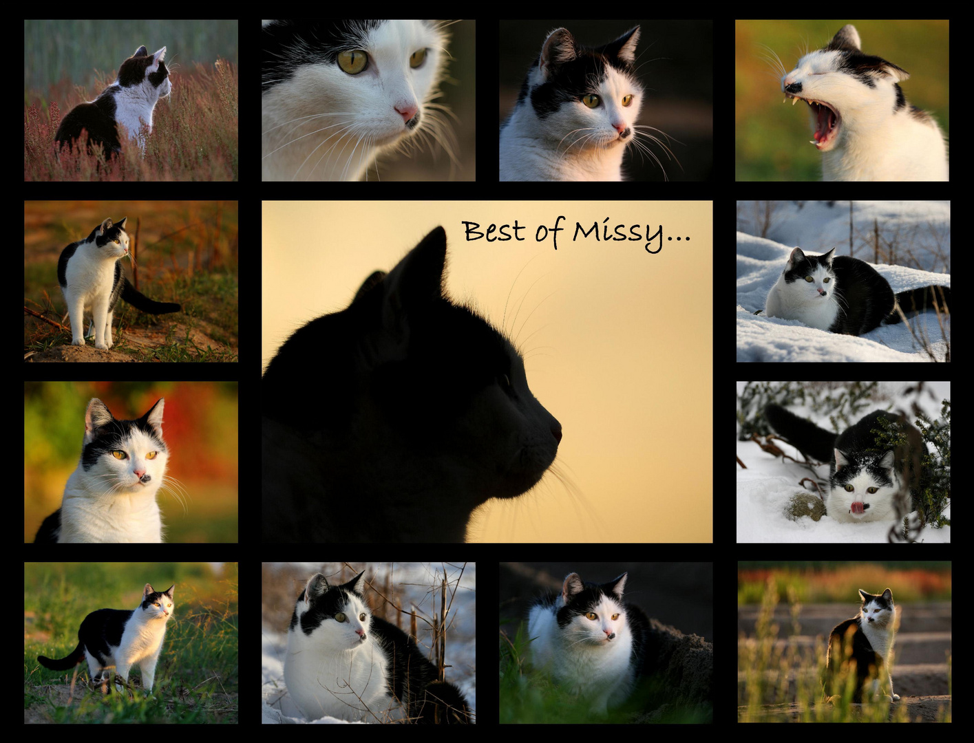Best of Missy