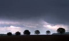 ~~~ beständige Wetterlage ~~~ ;-((