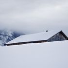 Beständigkeit im Schnee