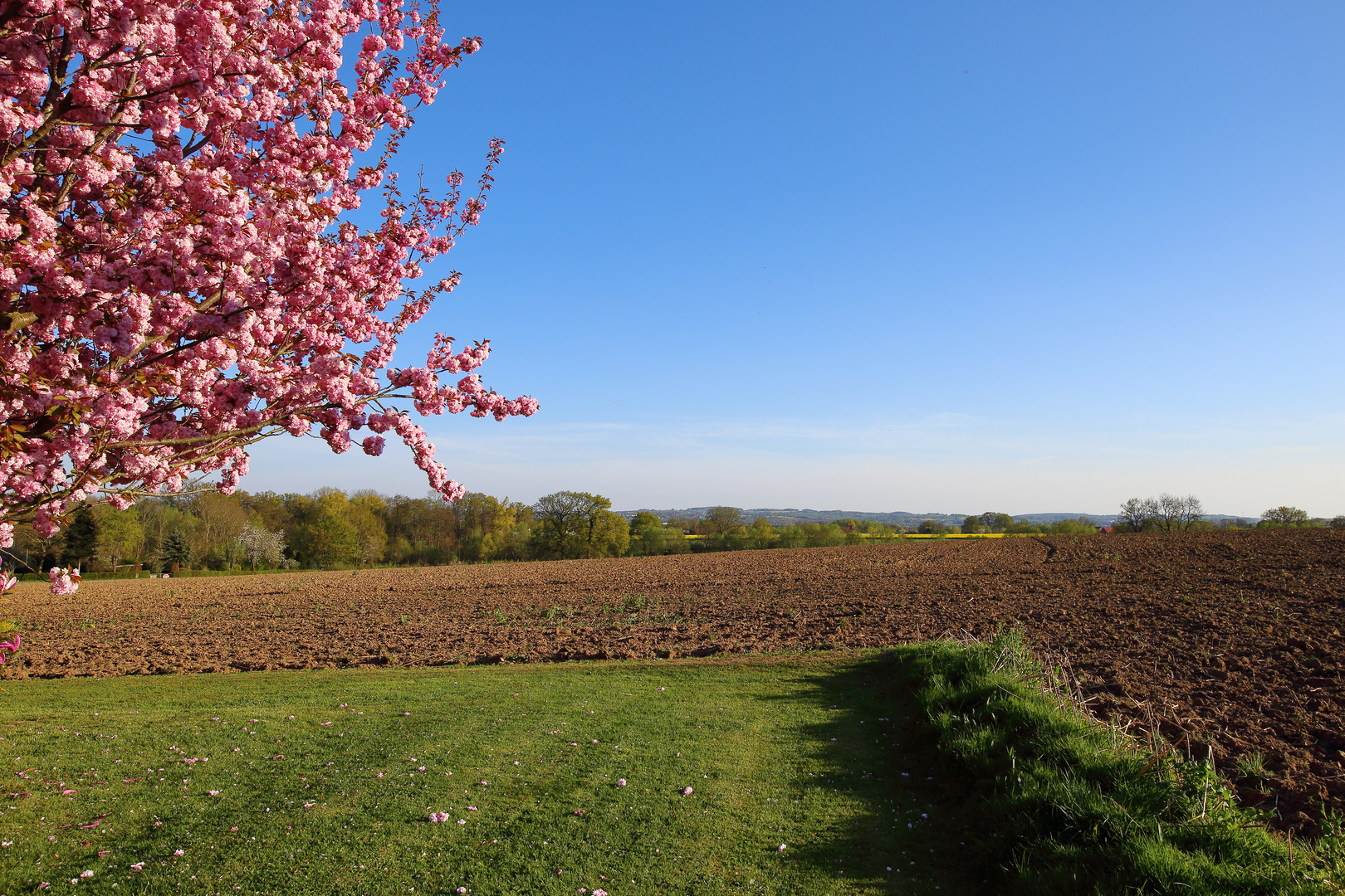 Beste Aussicht 