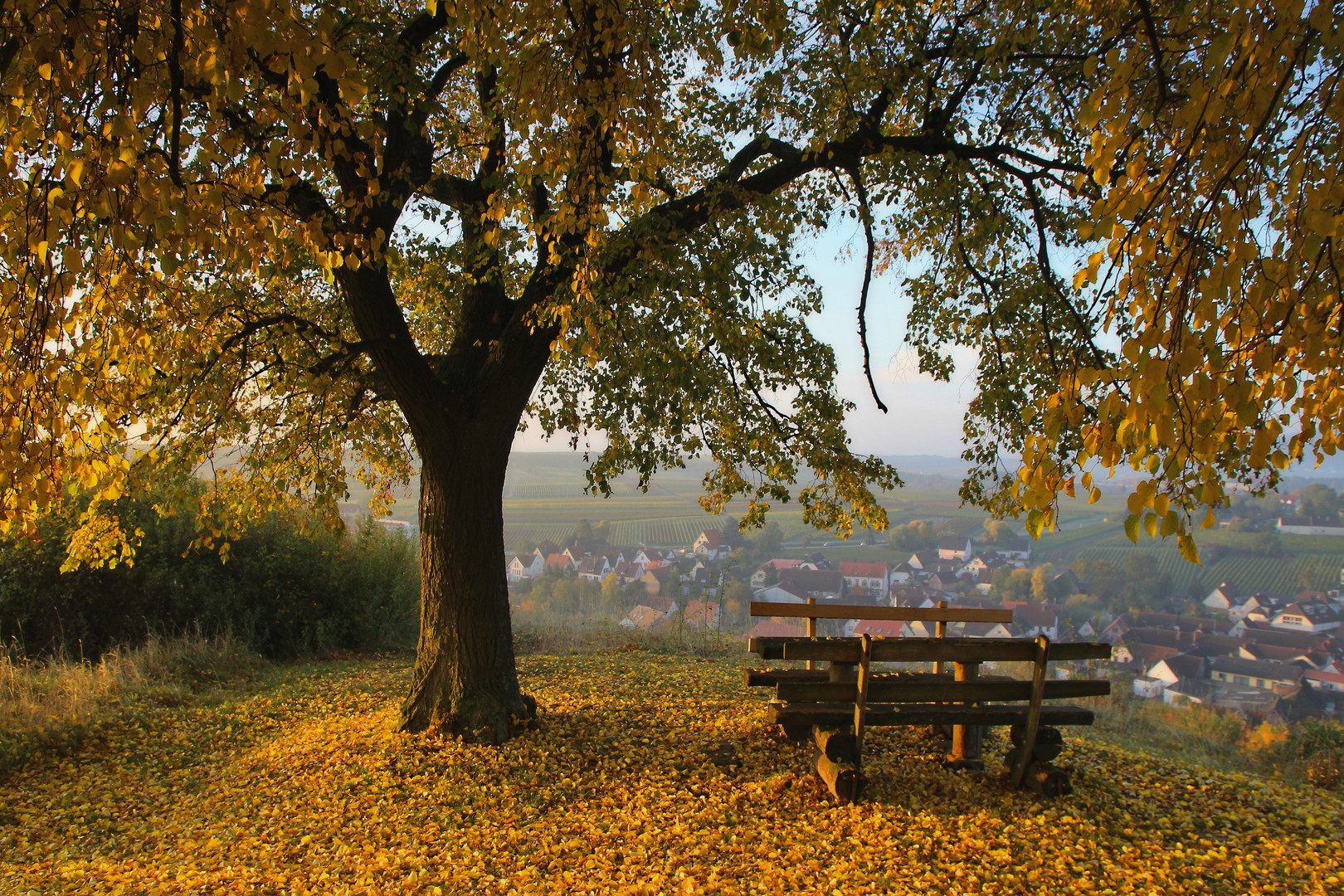 Beste Aussichten