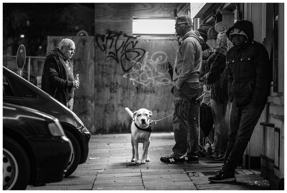 Beste Freunde  (auf St. Pauli)