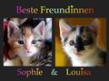 Sophie und Louisa