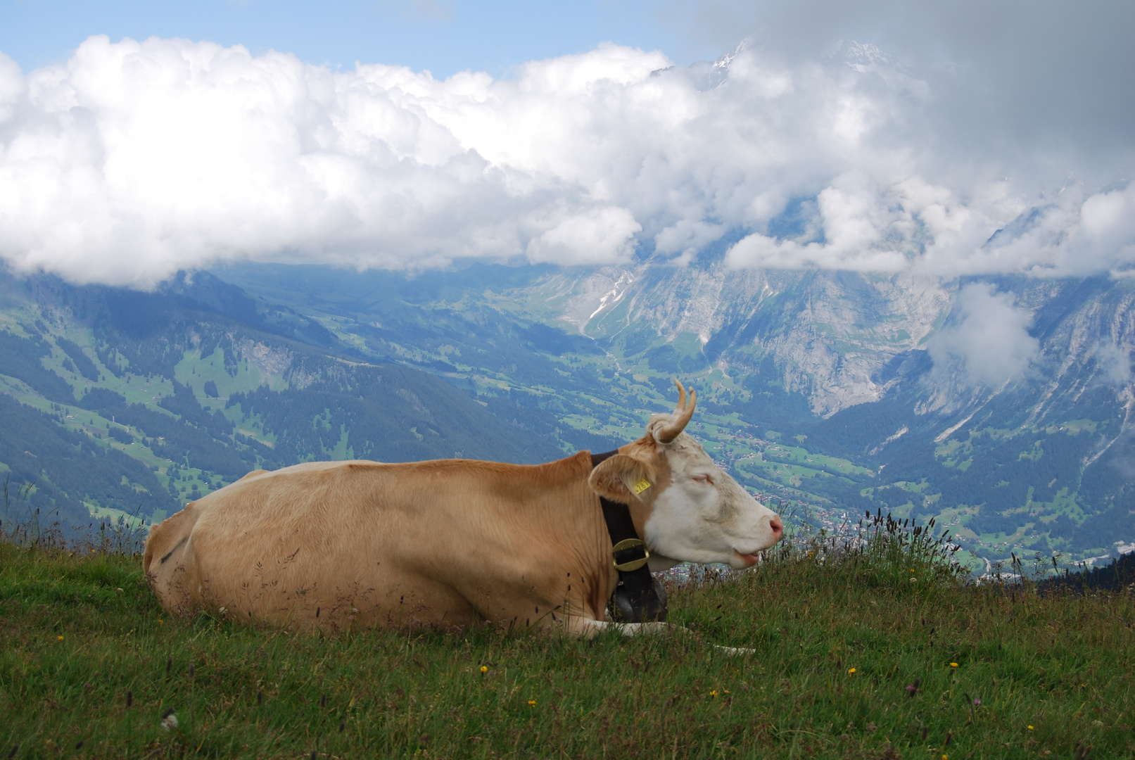 Beste Lage- schöne Aussicht