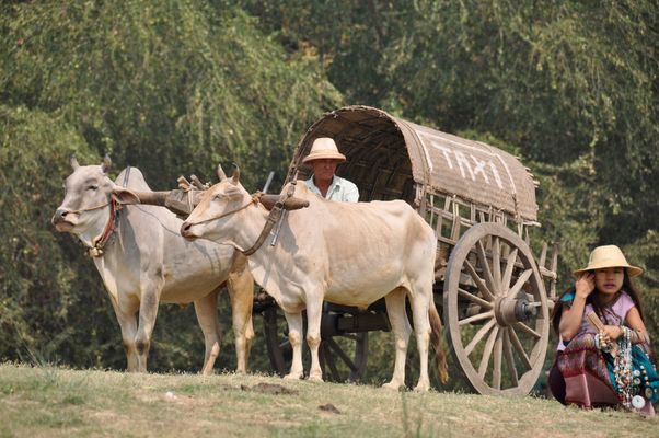 Beste Taxifahrt des Lebens