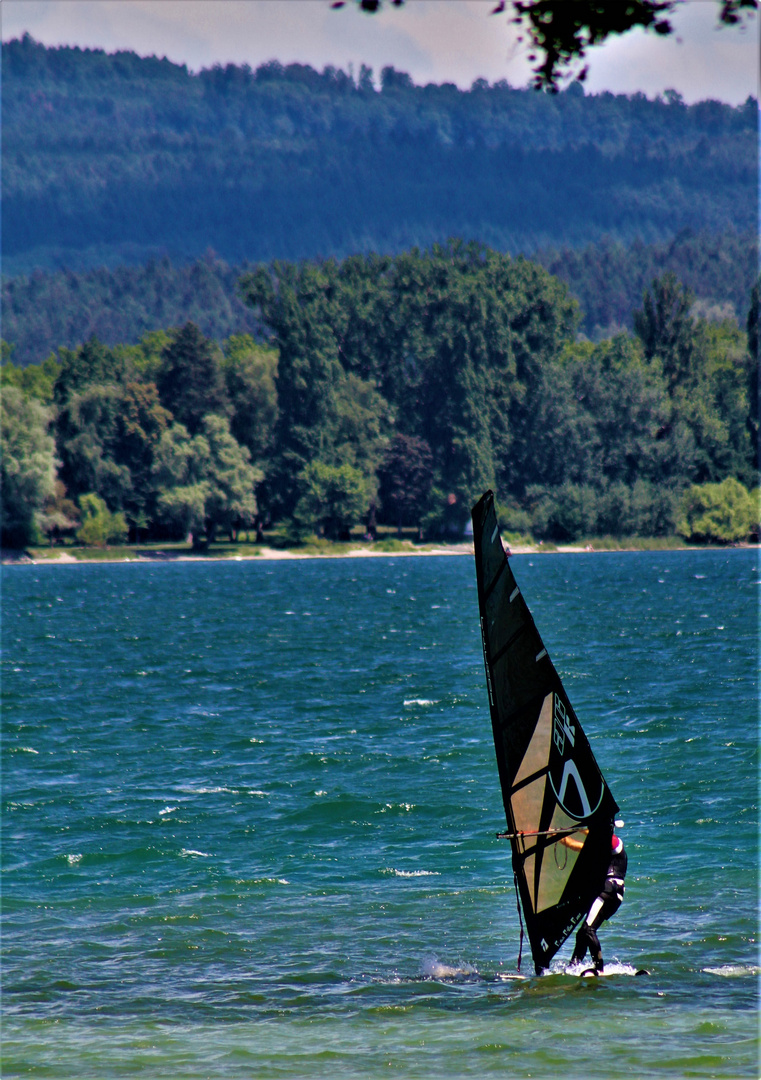 beste Vorraussetzung für die Surfer