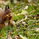 Bestechungsversuch im Park!