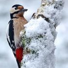 Besteigung der Nordwand