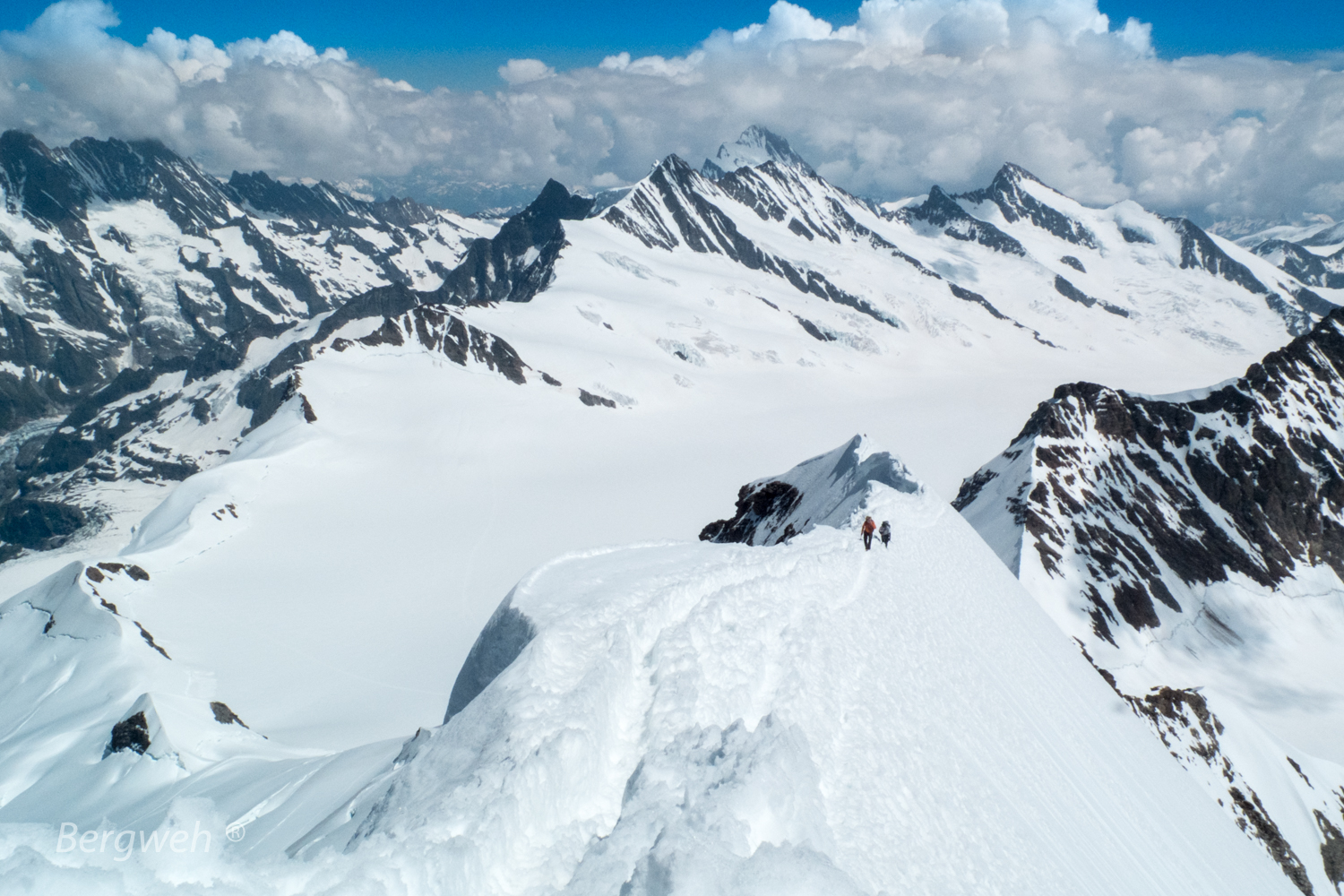 Besteigung Mönch (4.107 m)