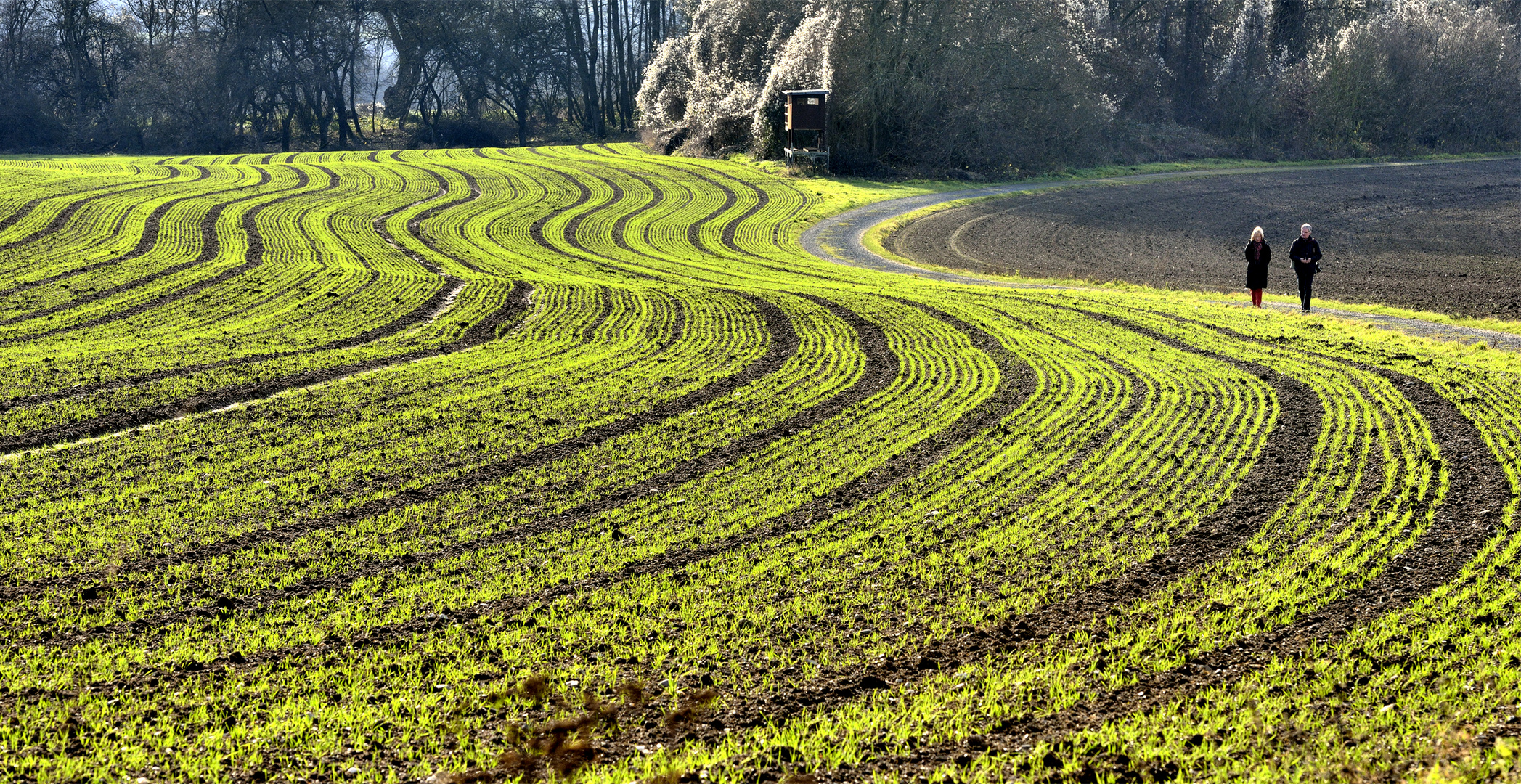 Bestellter Acker Foto & Bild | landschaft, Äcker, felder & wiesen ...