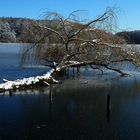 Bestensee im Winter