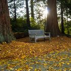 Bestes Herbstwetter im Loki-Schmidt-Garten in Hamburg