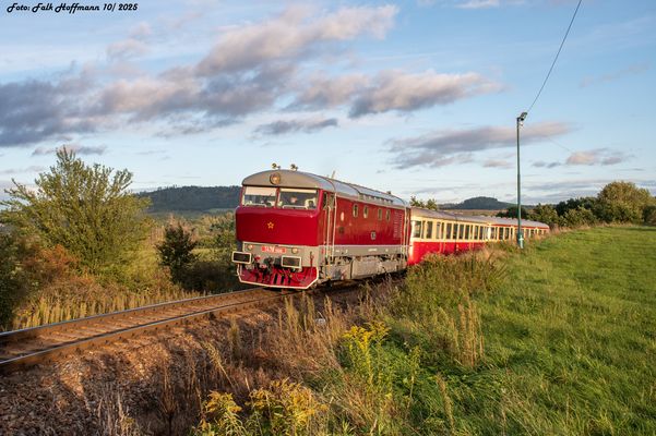 Bestes Licht für Bardotka