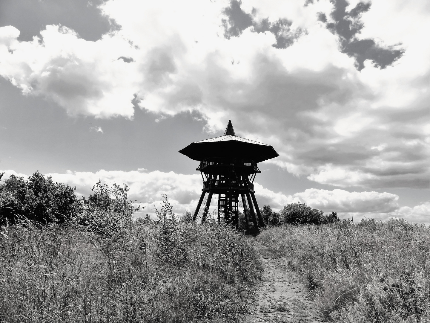 Bestes Wanderwetter am Eggeturm