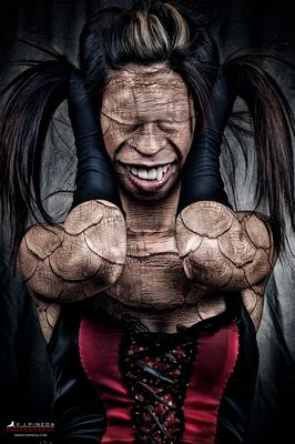 Bestiario de F.J.Pineda