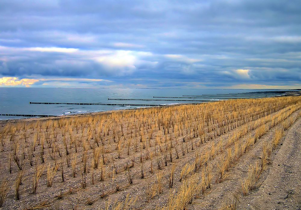 Bestimmt ein Strandhaferfeld