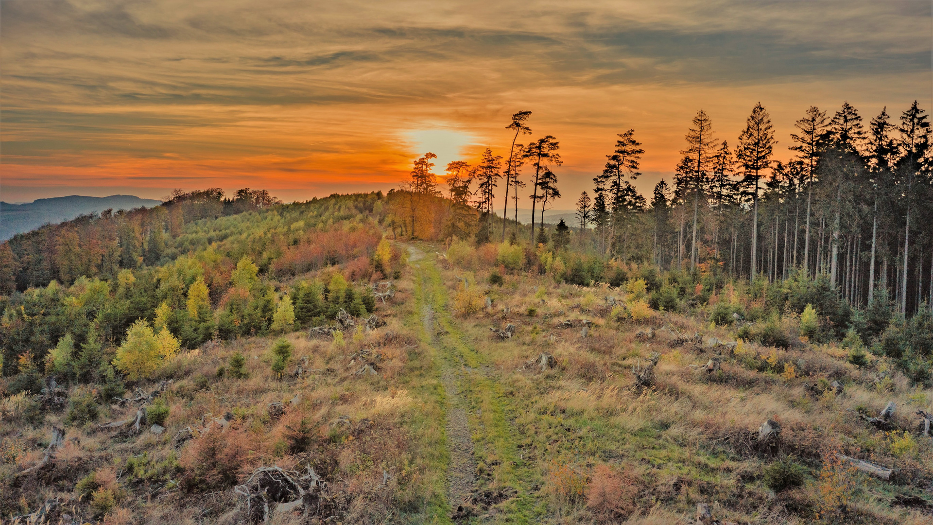 Bestwig Panoramaweg