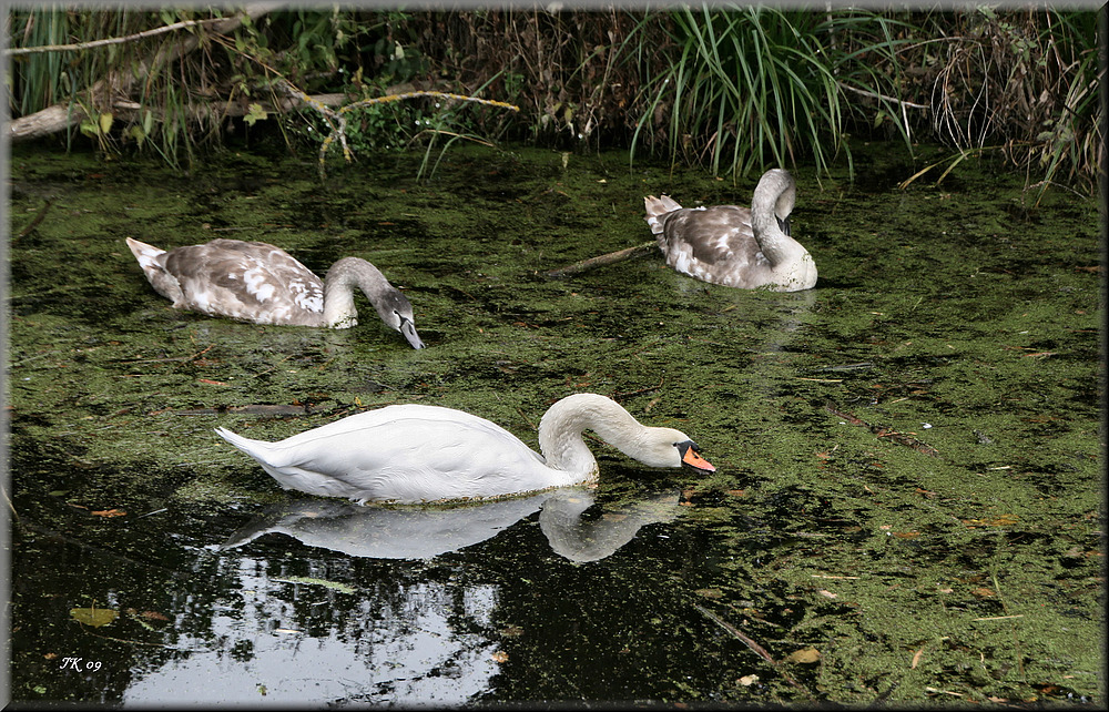 Besuch.....