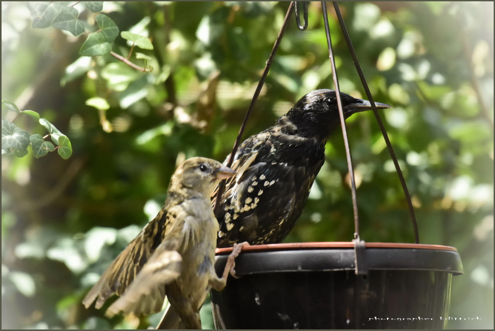 Besuch.....