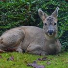 Besuch am Freitag Nachmittag...