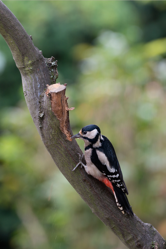 Besuch am frühen Morgen