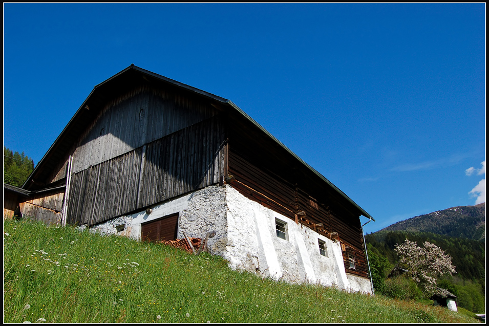 Besuch am Gössenberg (10)