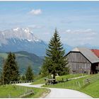 Besuch am Gössenberg (14)