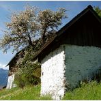 Besuch am Gössenberg (15)