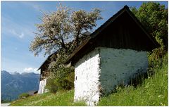 Besuch am Gössenberg (15)