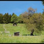 Besuch am Gössenberg (17)