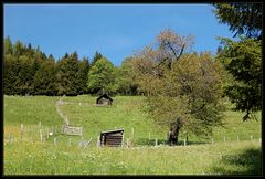 Besuch am Gössenberg (17)