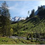 Besuch am Gössenberg (19)