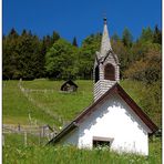 Besuch am Gössenberg (4)