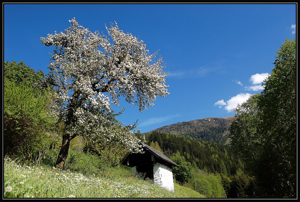 Besuch am Gössenberg (5)