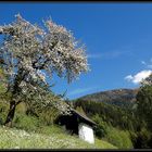 Besuch am Gössenberg (5)