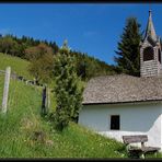 Besuch am Gössenberg (8)