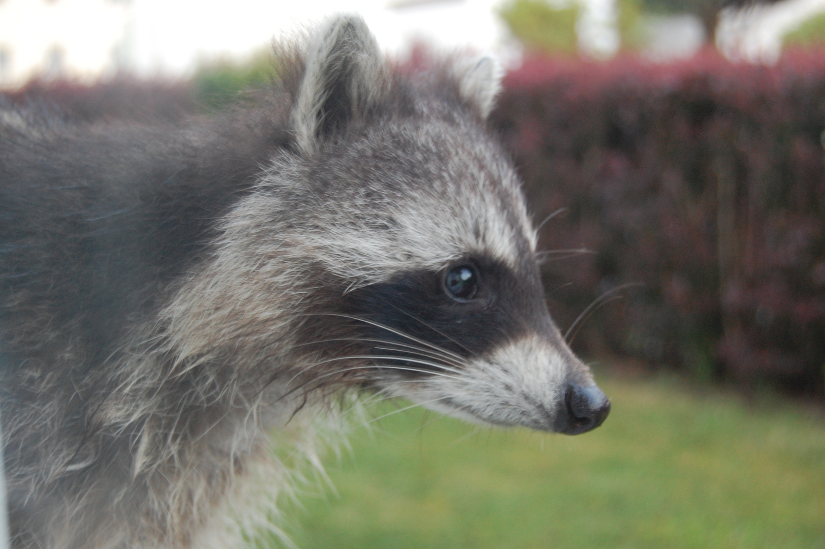 Besuch am Haus