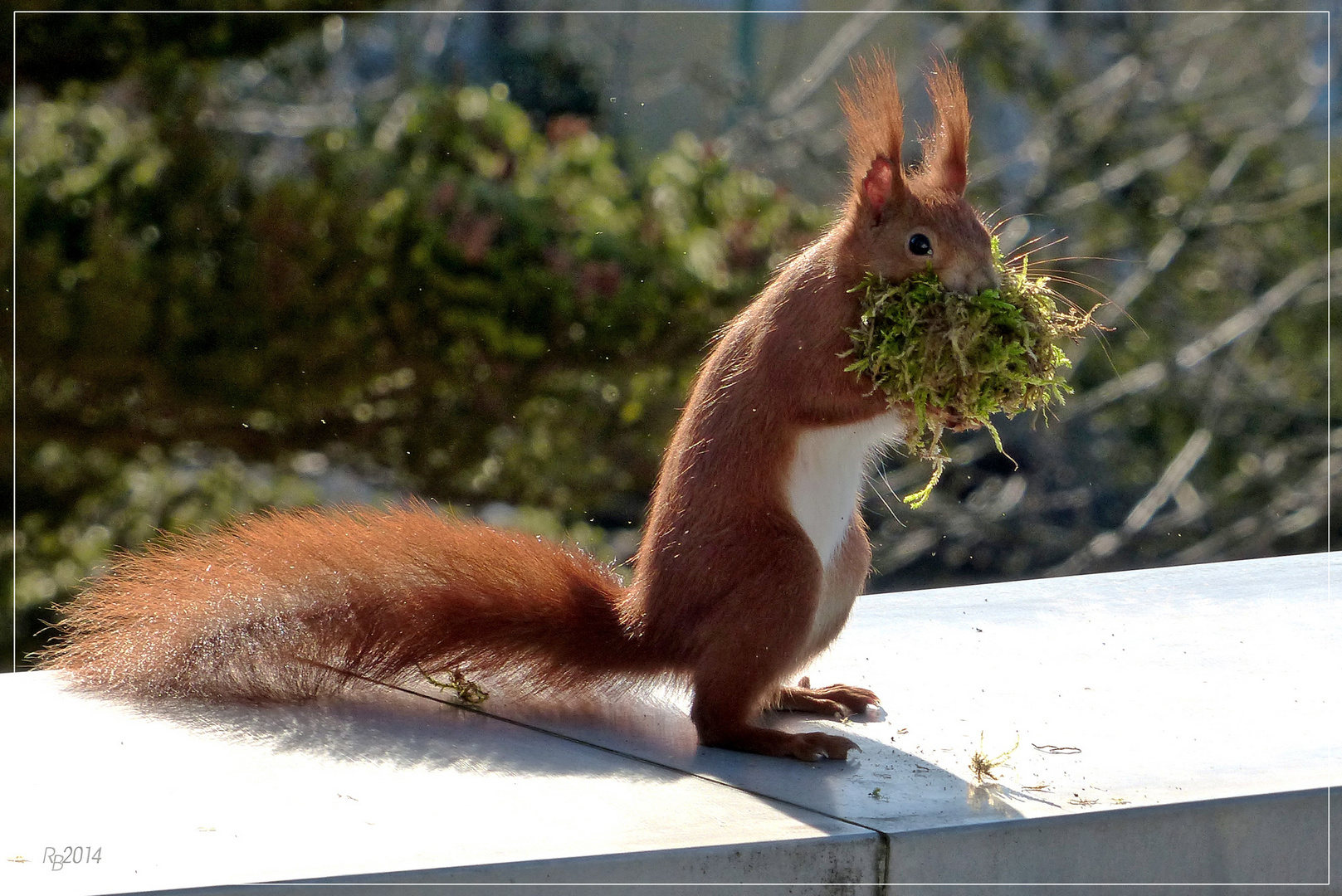 Besuch am Mittag: "Ich darf doch ...?"