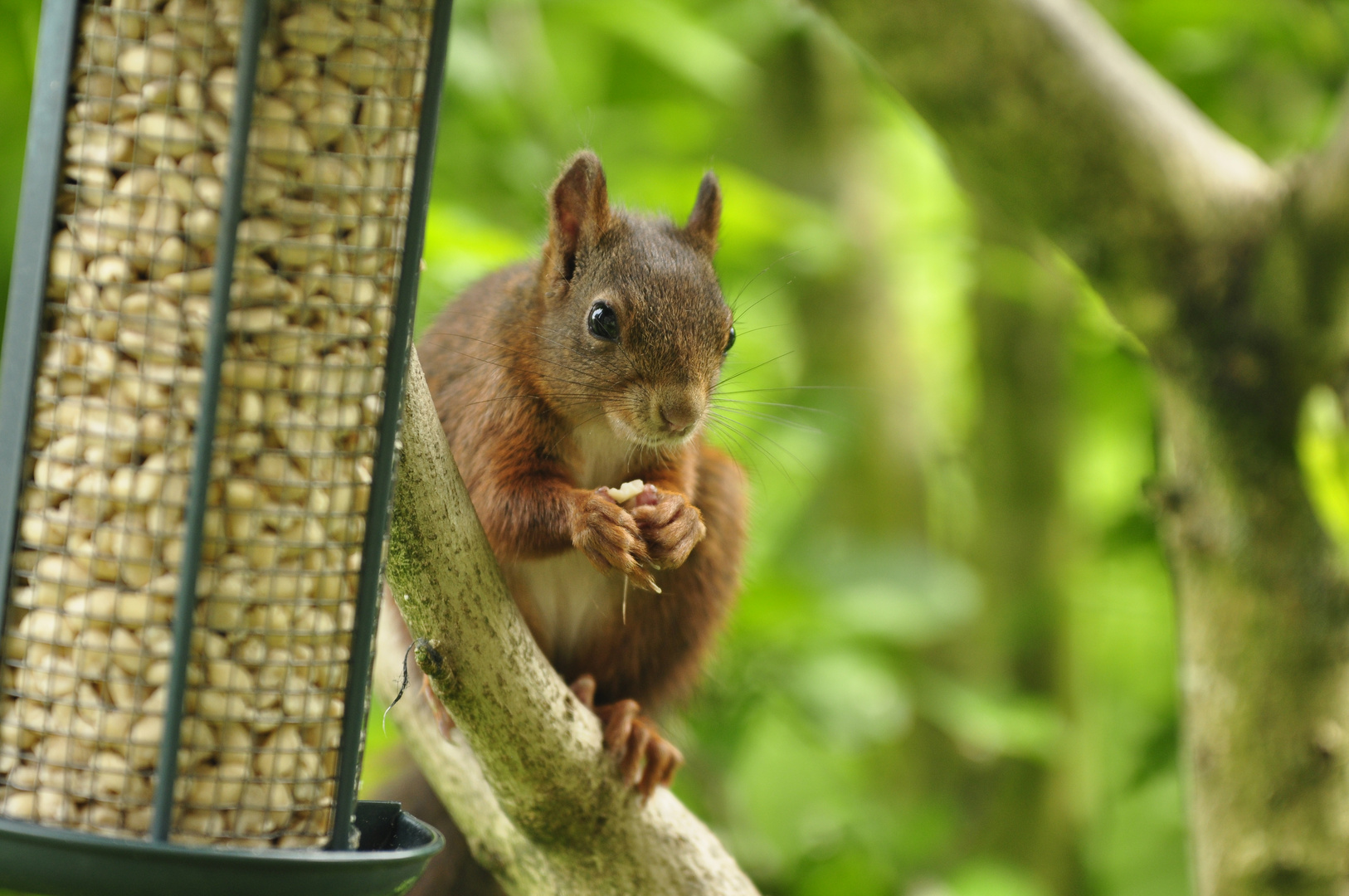 Besuch am Nachmittag