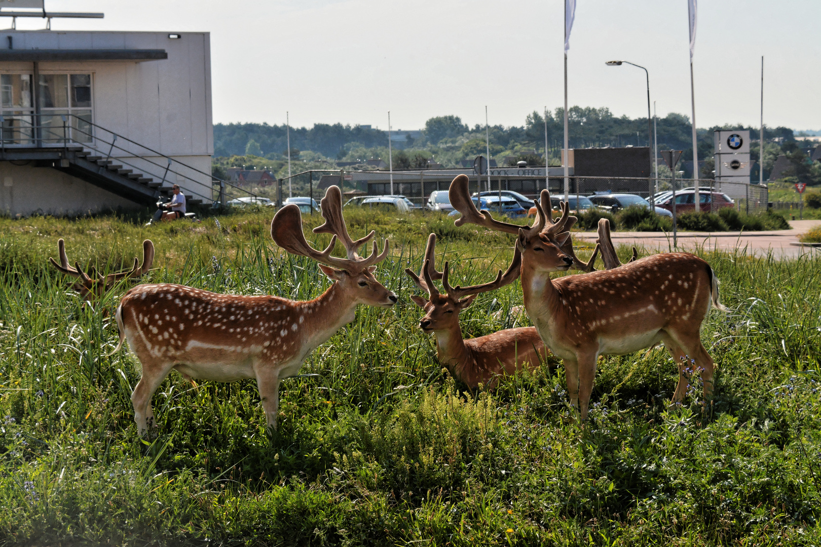 Besuch am NH-Hotel Zandvoort