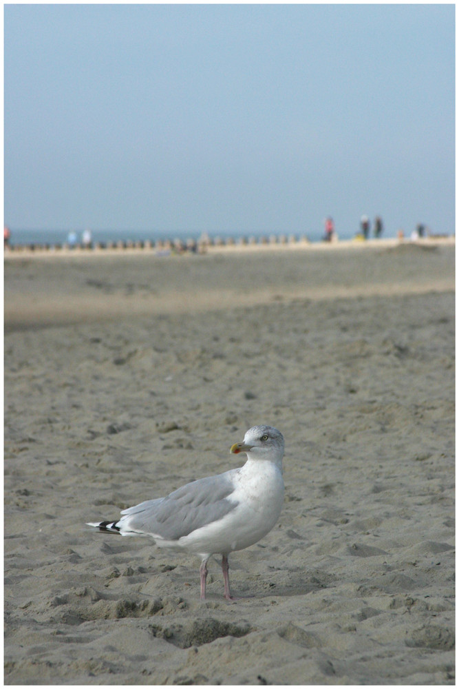 Besuch am Strand