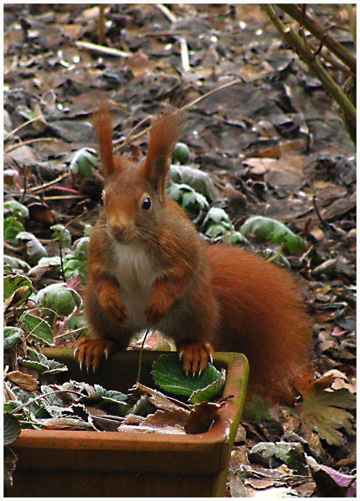 Besuch am Vormittag