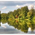 Besuch am Weiher - 1 -