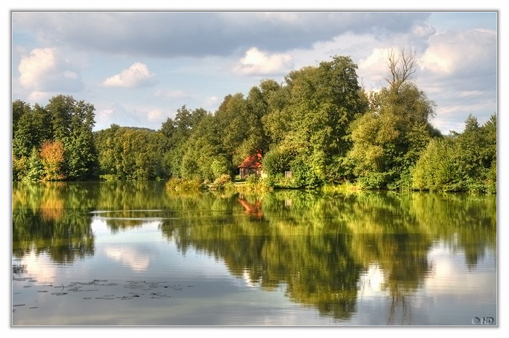 Besuch am Weiher - 1 -