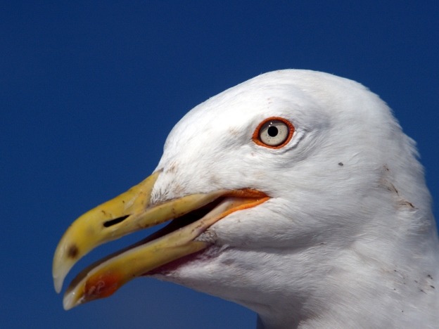 Besuch an Bord