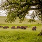 Besuch auf Bodenwald