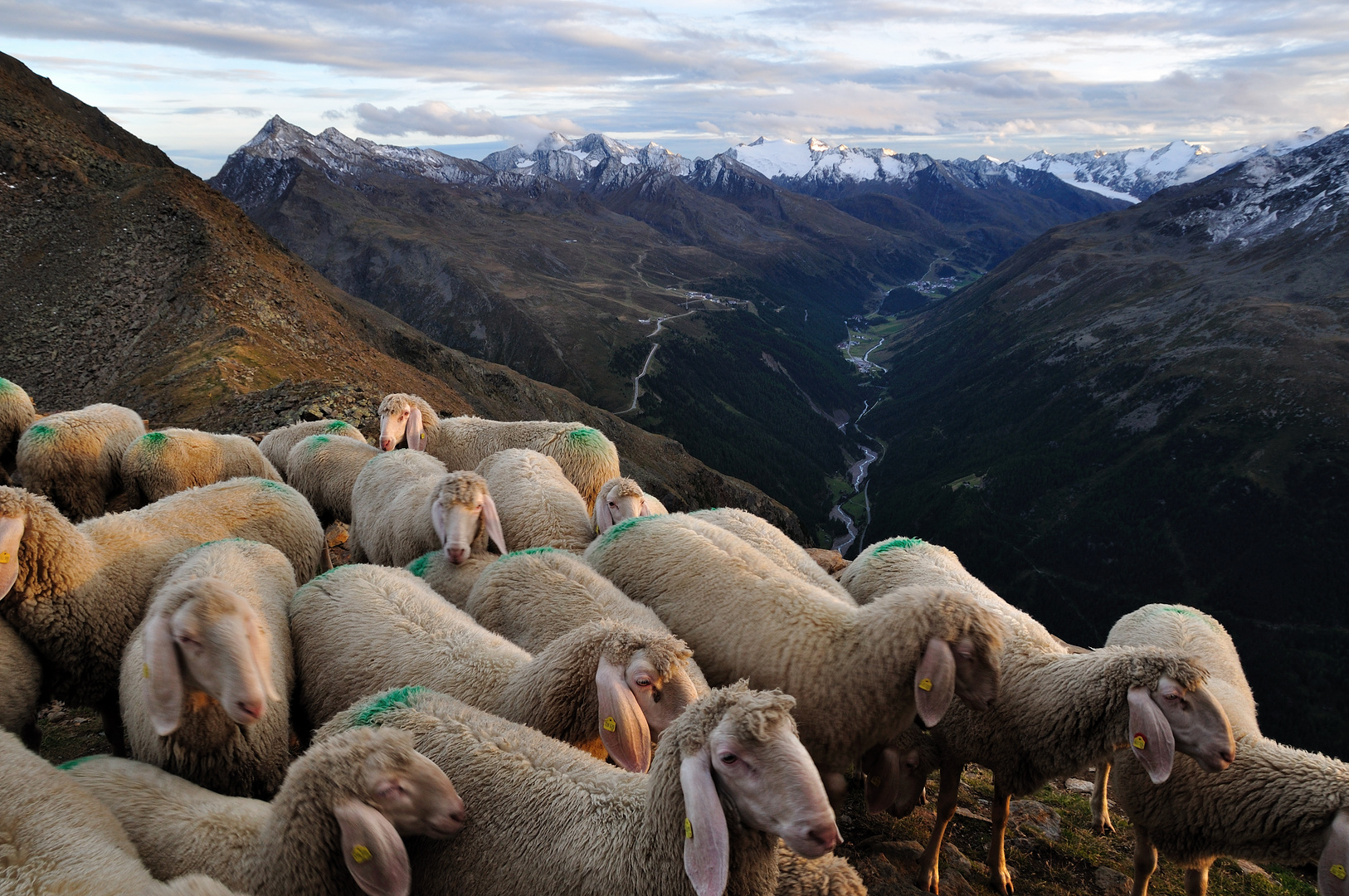 Besuch auf dem Brunnenkogelhaus (Ötztal)