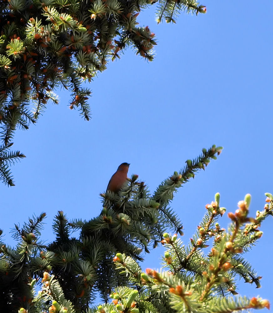 Besuch auf dem Campingplatz